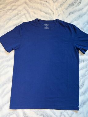 Express Men's Crew Neck T-Shirt in Blue